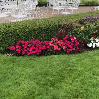 Check out this video of the gardens along the lakeside patio #iroquoisonmackinacisland provenwinners #grandgardenshow. I just love the way they wrap around the full lawn! Oh and notice how windy it was as the waves splash right up into the patio space. But the wind didn’t put a damper on the views😉.