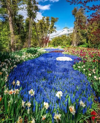 Full bloom has made its way💙🌷
.
Secret Garden of the Grand Hotel📍
Located on Mackinac Island, MI
.
PC: michiganskymedia and greendrinks 📸 
—————————————————
Follow michigantourism for more of the best from around the Michigan!
—————————————————